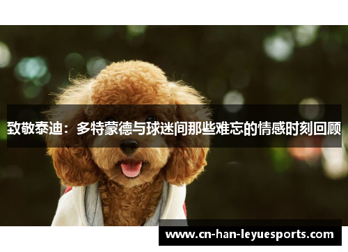 致敬泰迪：多特蒙德与球迷间那些难忘的情感时刻回顾