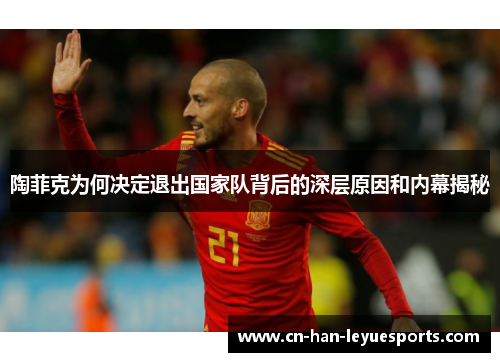陶菲克为何决定退出国家队背后的深层原因和内幕揭秘