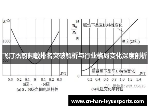 飞汀杰蔚阀敏排名突破解析与行业格局变化深度剖析